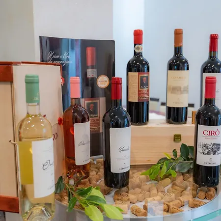 Napoleon 호텔 토레 멜리사