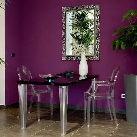 Napoleon Hotel 4*
