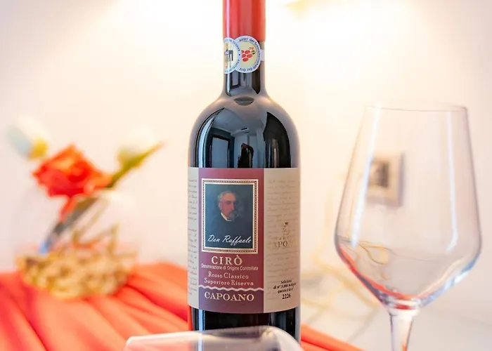 Szálloda Napoleon 4*