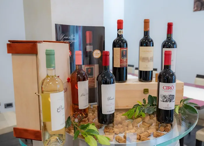 Napoleon Szálloda Torre Melissa